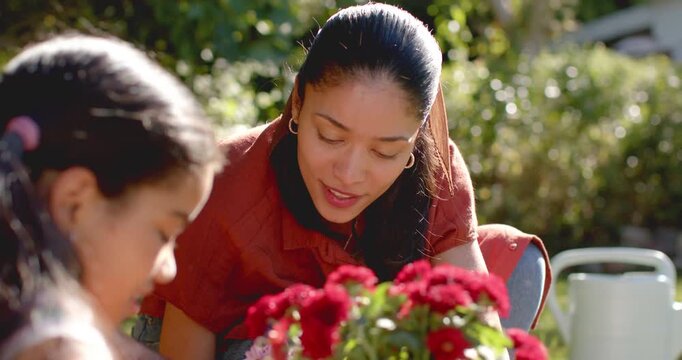 Vertical video: Leaning woman in rust shirt, holding pink pot, guiding girl planting red flowers