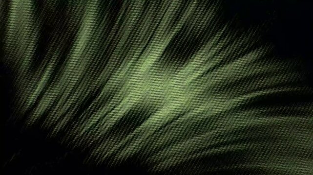 halftone, dither, grain, noise, gradient, abstract, texture, monochrome, black and white, moire, pattern, minimalist, organic shapes, fluid, wavy, digital art, retro, raster, stipple, silk screen.