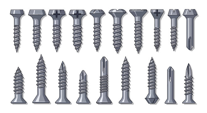 Collection of Various Types of Screws and Fasteners A Detailed Illustration