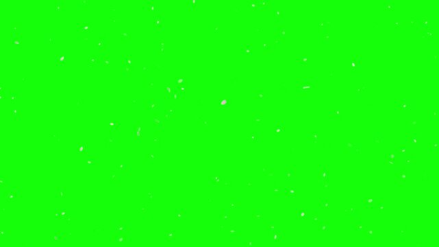 Background video of falling cherry blossom petals
