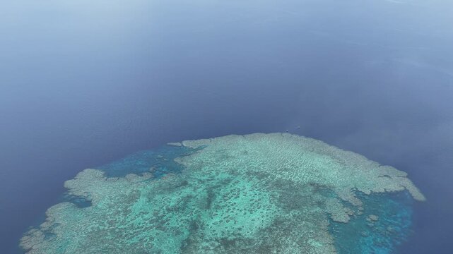 Seen from a bird's eye view, an impressive platform reef, named "E6," sits in the midst of the Bligh Channel east of Viti Levu, Fiji. The reef is home to extensive coral growth and fish diversity.