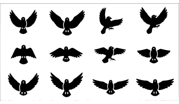 Bird wing movement icon pack with flapping stages and flight position sequence in black silhouette vector