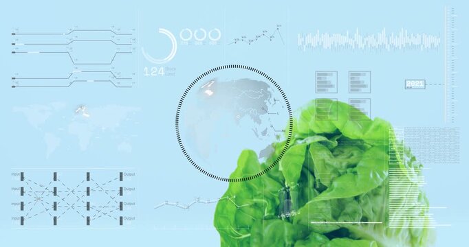 Scan completing and ring cycling, lettuce entering, unfurling, overlaying HUD, creating data reveal