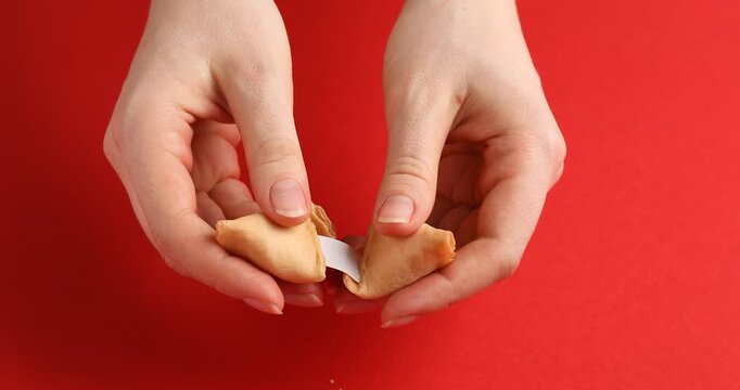 Woman breaking yummy fortune cookie with prediction on red background, closeup