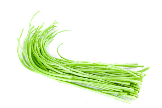 Fresh Green Vegetable Bundle Studio Photography Jiangxi Poyang Organic Produce