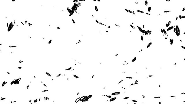 Black doodle shapes flowing on white background