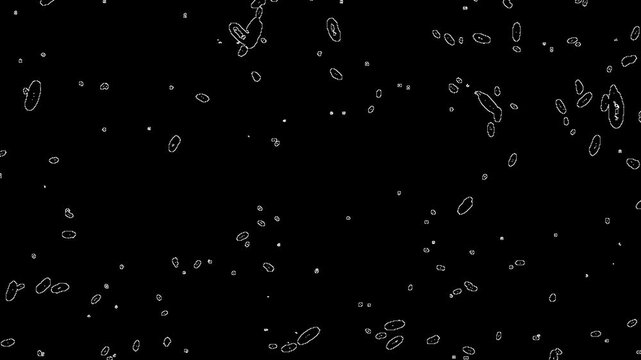 Sketchy circle shapes in motion on black background