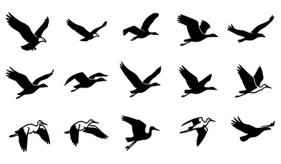 Migratory bird icon pack with eagles geese storks and swallows flying south silhouettes vector © Sheikh