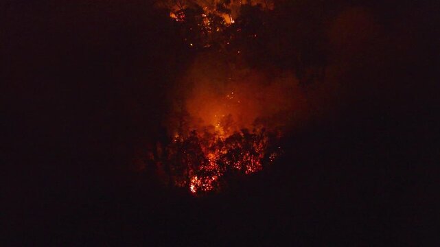 France - Reunion Island - Volcanic eruption, lava in the forest going to the sea - lava eating trees