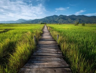 Fototapeta premium A serene wooden pathway leads through lush green rice fields, framed by majestic mountains under a clear blue sky.