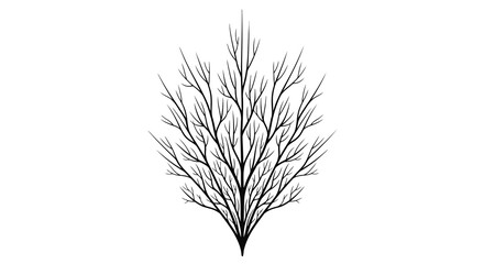 Fototapeta premium A minimalist illustration of a bare tree branch on a white background.