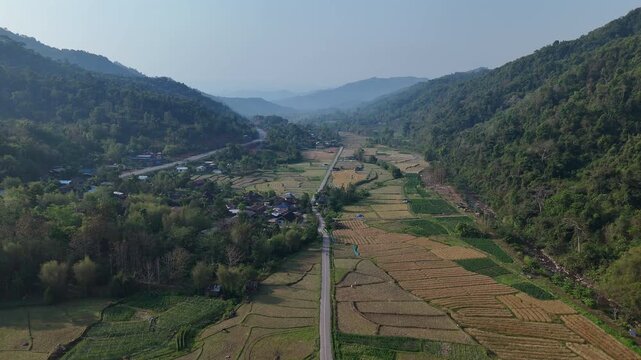 Aerial View of Serene Valley Lush Green Rice Fields, Winding Road, and Forested Hills Landscape Under Clear Blue Sky