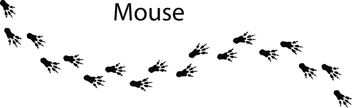 Mouse Footprint Silhouette Vector &ndash; Small Rodent Paw Print Track Icon EPS
