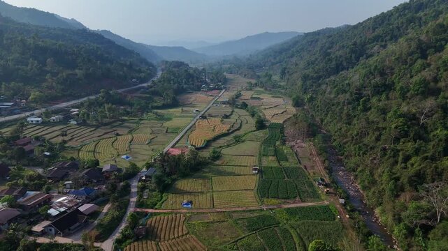 Aerial View of Lush Green Valley with Rice Fields, Winding Road, and Mountains Under Clear Sky Showcasing Rural Landscape and Agriculture