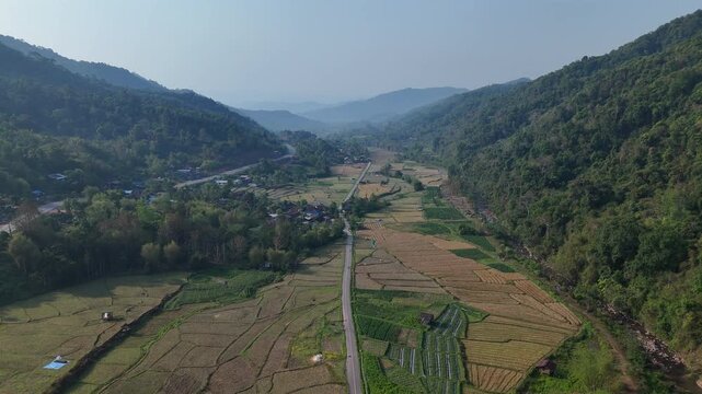 Aerial View of Lush Green Valley Rice Fields, Winding Road, and Forested Hills Landscape Under Clear Blue Sky