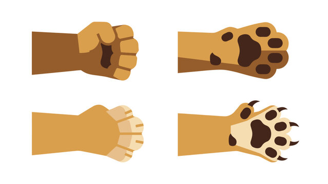 Human Hand and Wild Animal Paw Vector Set. Flat Illustrations of Fist, Open Hand, and Paw with Retracted & Extended Claws.