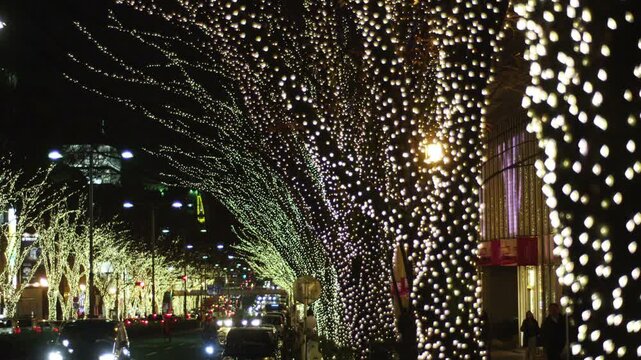 表参道クリスマスイルミネーション2010