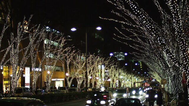 表参道クリスマスイルミネーション2010