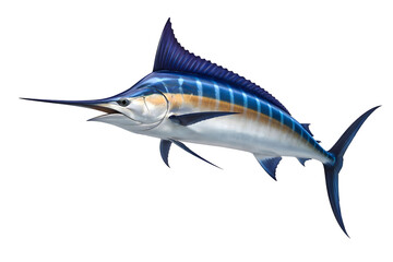 Fototapeta premium Blue Marlin Fish Isolated on White Background Large Ocean Predator