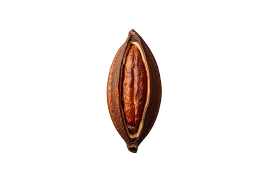 Cocoa pod shell with ripe cacao beans inside, natural ingredient for chocolate processing on transparent background