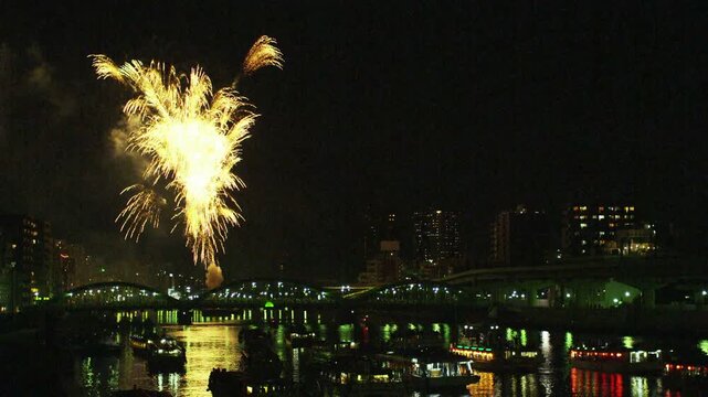 隅田川花火大会2011