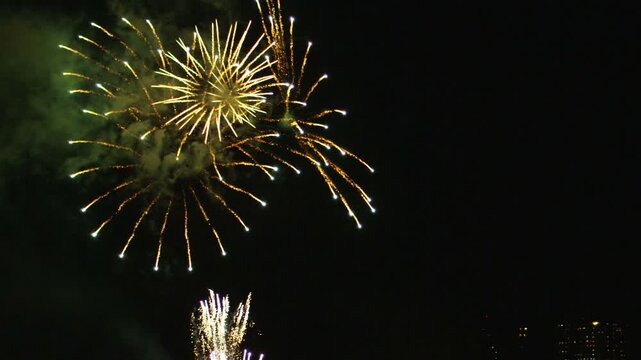 隅田川花火大会2011