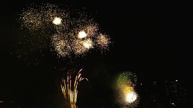 隅田川花火大会2011
