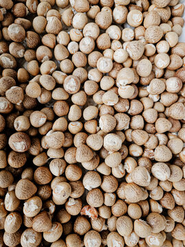 Photo of peeled betel nuts, dried in the sun