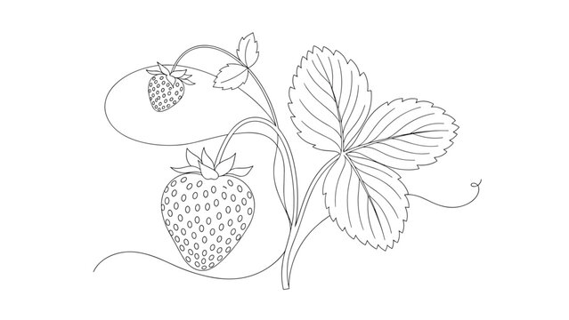 Black and white line art drawing of a strawberry plant featuring two berries and textured leaves with curly vine tendrils.