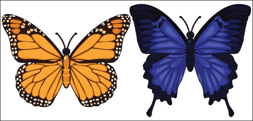 2 Beautiful Butterfly Large Feather Blue and Orange Insect Moth Decor for Fabric Wall Vector © SisterStroke