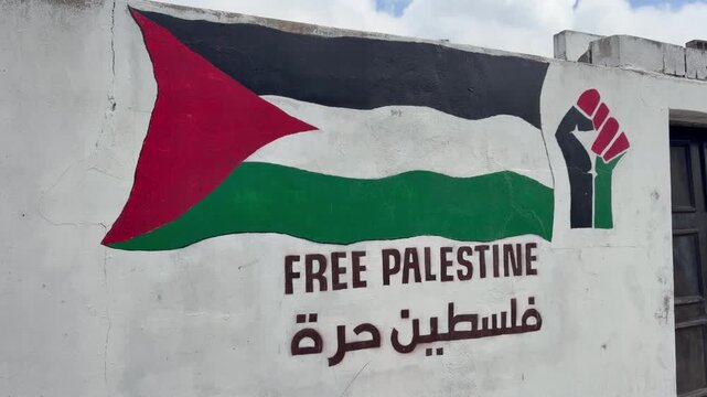 A Free Palestine mural on a wall in Cape Town&rsquo;s suburb of Athlone.