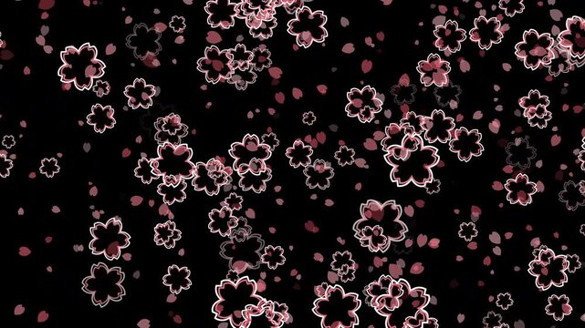 桜 花びら 小 枠あり 回転 下降 パターン01 紅梅色 ループ（黒背景）