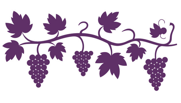 A purple grape vine silhouette with leaves and clusters of grapes