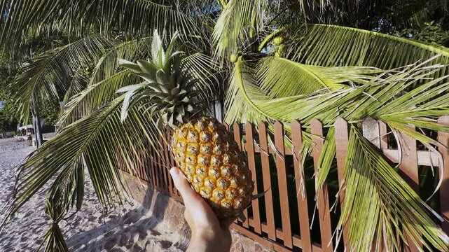 Hand holding ripe pineapple on tropical beach with palm trees and sand. Summer vacation concept with exotic fruit, travel lifestyle, healthy snack and relaxing island holiday atmosphere.