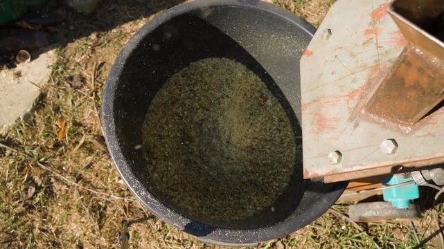 Wood chipper shredding tree branches into fine sawdust top view. Branch disposal after tree pruning