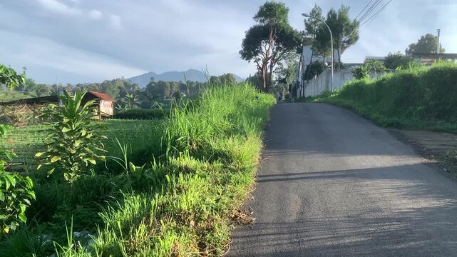 Peaceful Rural Environment of West Java With Lush Vegetation, and Calm Atmosphere in Indonesian Countryside West Bandung Regency West Java, Indonesia