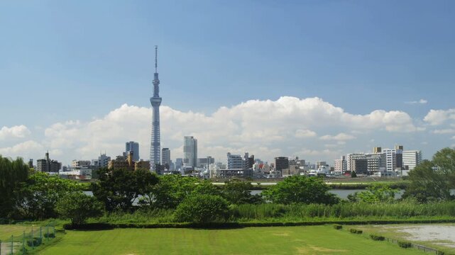 荒川土手からみた東京スカイツリー