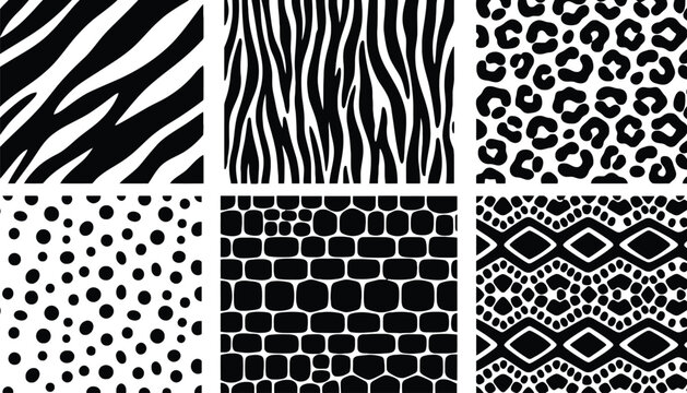 Animal skin patterns set of black and white vector illustrations
