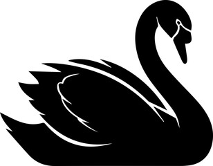 Obraz premium A BLACK AND WHITE DUCK