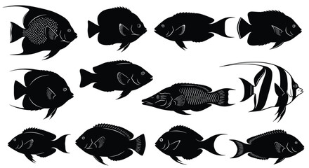 Black and white vector silhouette collection of various tropical reef fish species including angelfish and tangs isolated on a clean white background for design © rehna