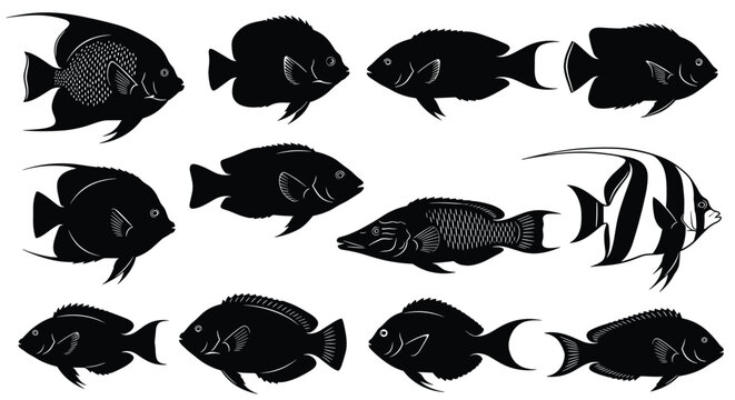 Black and white vector silhouette collection of various tropical reef fish species including angelfish and tangs isolated on a clean white background for design