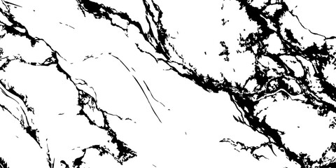 Fototapeta premium High resolution white marble texture with natural black veins luxury stone surface background