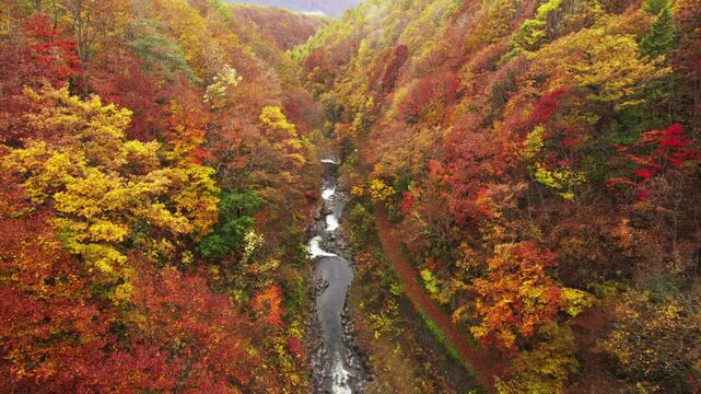 裏磐梯 中津川渓谷の紅葉