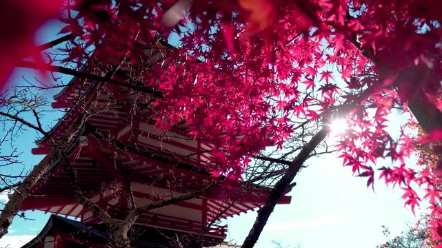 Vibrant red maple leaves dominate the foreground, with sunlight filtering through to create a warm glow. In the background, a traditional multi-tiered Japanese pagoda stands against a clear blue sky.