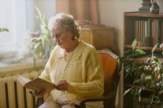 Senior Caucasian woman sitting in armchair reading book near window, wearing glasses and jewelry, surrounded by houseplants and bookshelves, appearing focused on pages