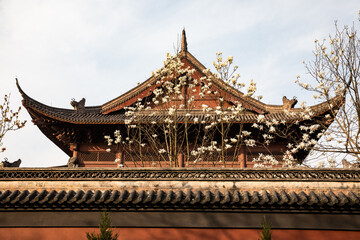 Obraz premium Traditional Chinese Pagoda with Spring Blossoms in Hangzhou