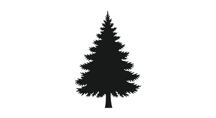 A dark detailed silhouette of a coniferous evergreen tree silhouette © MST