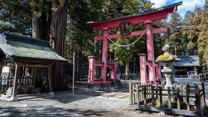 Fototapete Torii Tore 神社の鳥居　長野県  © RATM