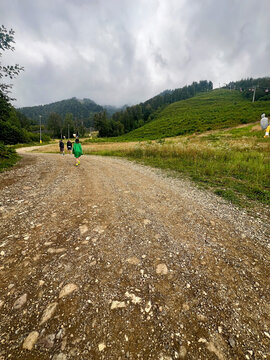 Road in the Sochi mountains in Krasnaya Polyana at 960 meters above sea level.
