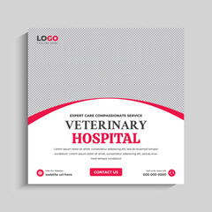 Obraz premium Veterinary Care Social Media Instagram Post Banner Template